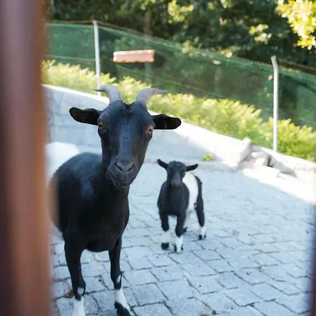 Nyaraló Ermal Village