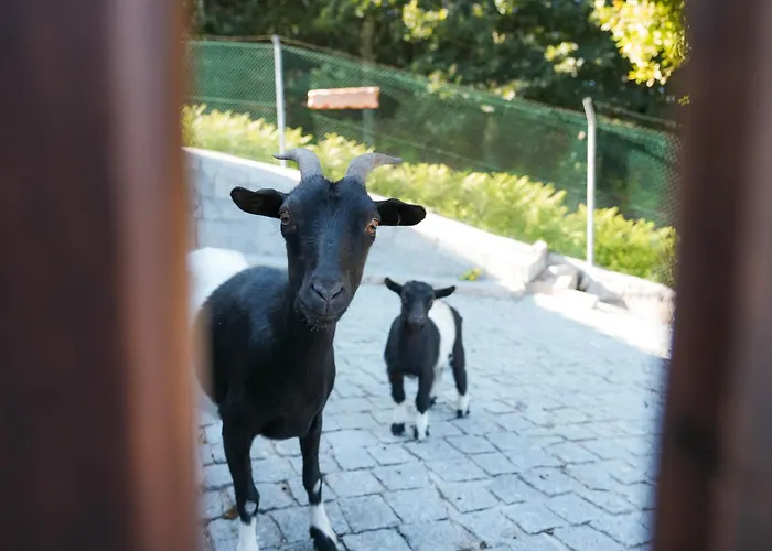 Dom wakacyjny Ermal Village